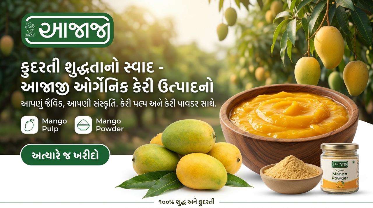 WhatsApp Image 2026-08-19 at 2.14.13 PM